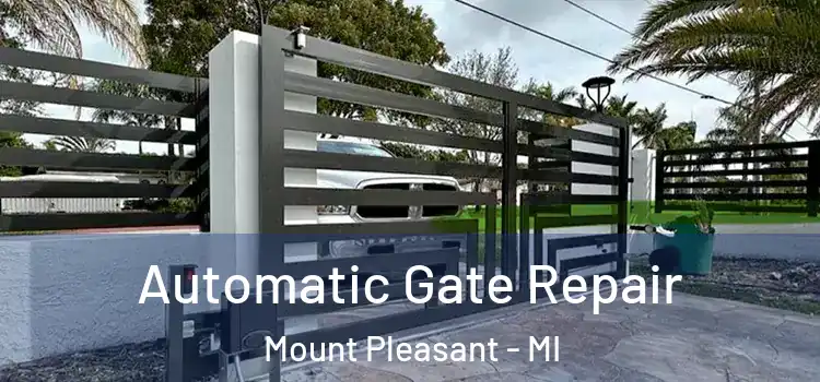  Automatic Gate Repair Mount Pleasant - MI