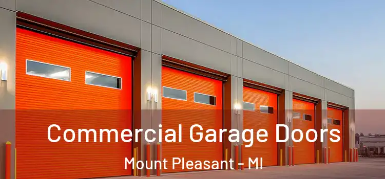  Commercial Garage Doors Mount Pleasant - MI