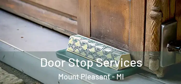  Door Stop Services Mount Pleasant - MI