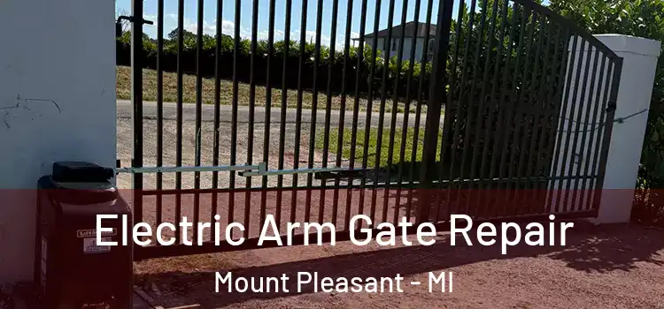  Electric Arm Gate Repair Mount Pleasant - MI