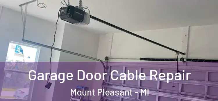  Garage Door Cable Repair Mount Pleasant - MI