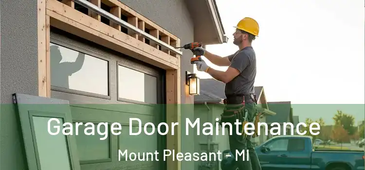  Garage Door Maintenance Mount Pleasant - MI