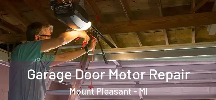  Garage Door Motor Repair Mount Pleasant - MI