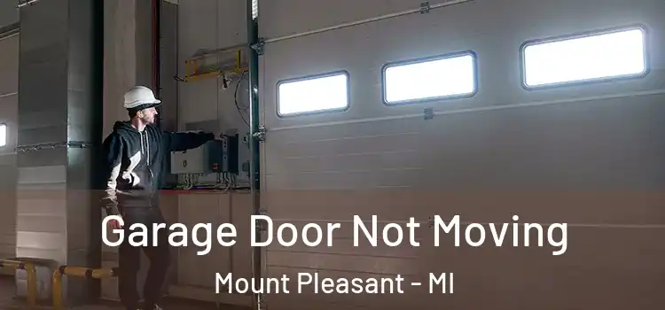  Garage Door Not Moving Mount Pleasant - MI