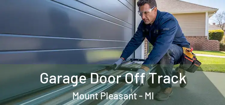  Garage Door Off Track Mount Pleasant - MI
