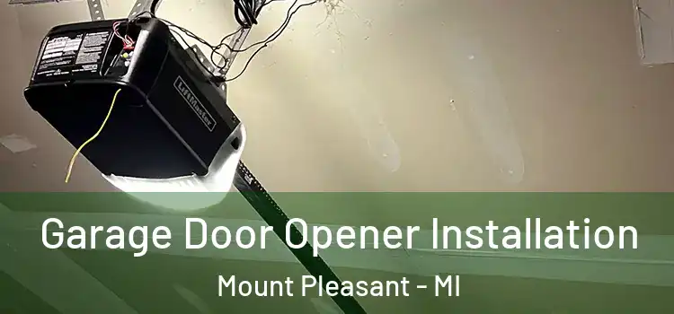  Garage Door Opener Installation Mount Pleasant - MI