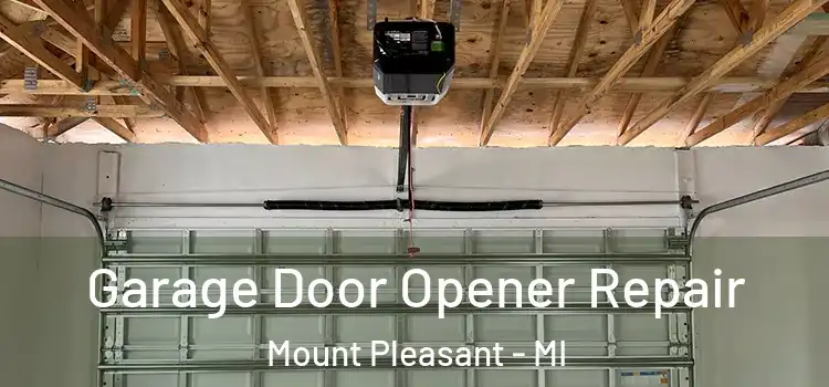  Garage Door Opener Repair Mount Pleasant - MI