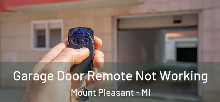  Garage Door Remote Not Working Mount Pleasant - MI