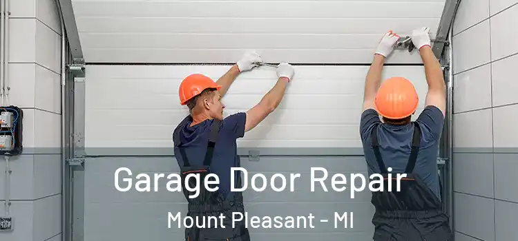  Garage Door Repair Mount Pleasant - MI