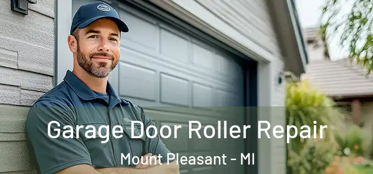  Garage Door Roller Repair Mount Pleasant - MI