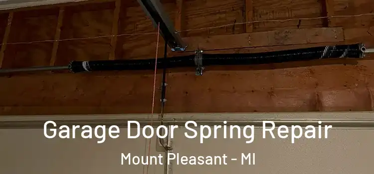  Garage Door Spring Repair Mount Pleasant - MI