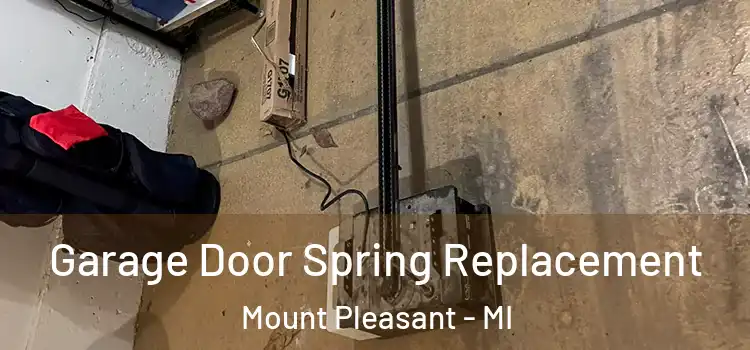  Garage Door Spring Replacement Mount Pleasant - MI