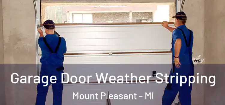  Garage Door Weather Stripping Mount Pleasant - MI