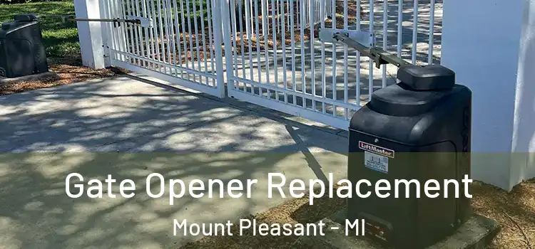  Gate Opener Replacement Mount Pleasant - MI