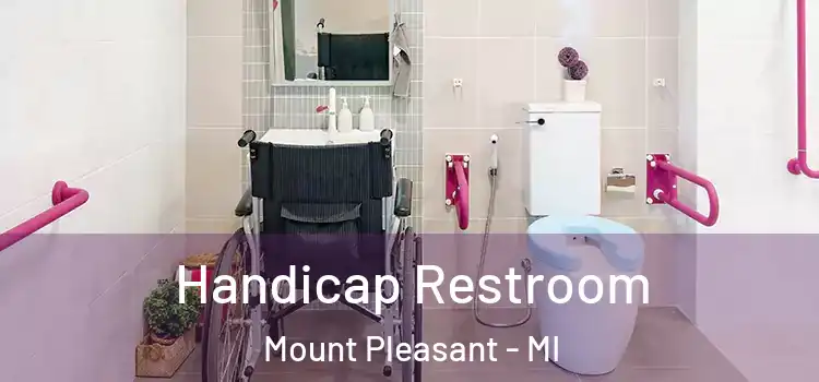  Handicap Restroom Mount Pleasant - MI