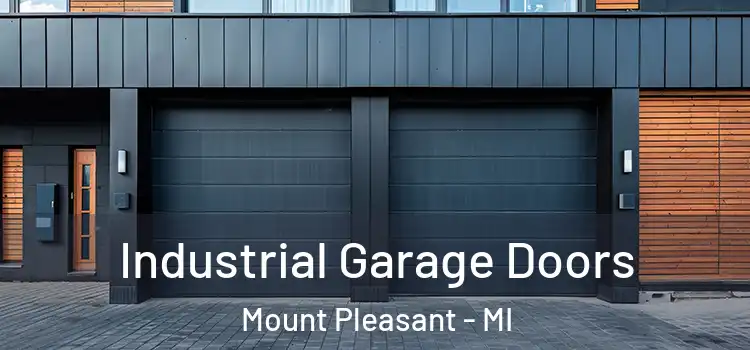  Industrial Garage Doors Mount Pleasant - MI