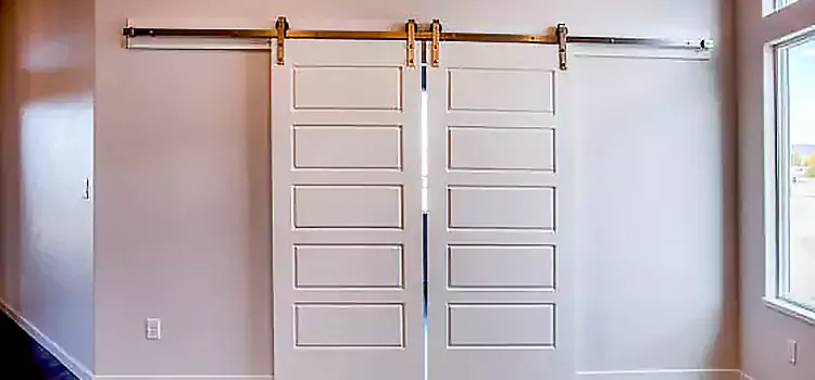 Glass Barn Door with Installation Hardware Kit Mount Pleasant