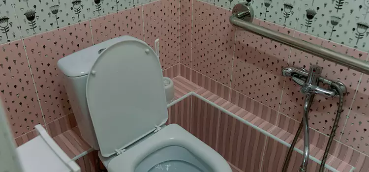 Meeting Diverse Needs With Accessible Restroom Solutions in Mount Pleasant, MI