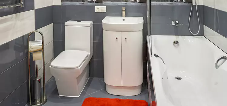 Hansgrohe Shaving Mirror Mount Pleasant