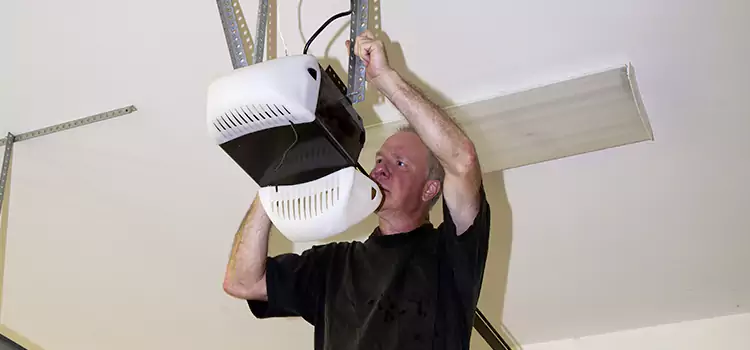Garage Door Opener Service Mount Pleasant