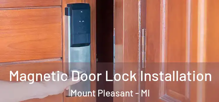  Magnetic Door Lock Installation Mount Pleasant - MI