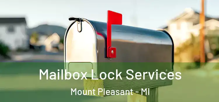  Mailbox Lock Services Mount Pleasant - MI