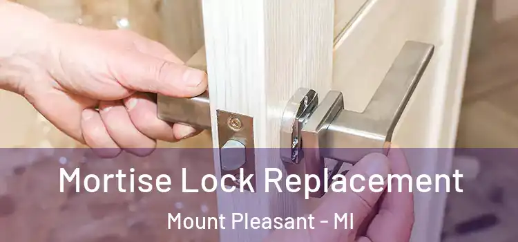  Mortise Lock Replacement Mount Pleasant - MI