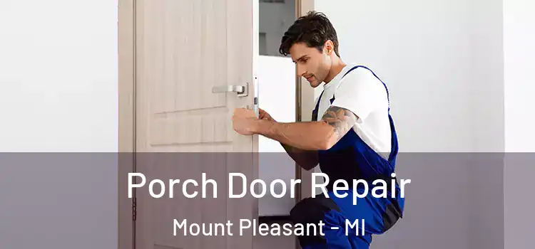  Porch Door Repair Mount Pleasant - MI