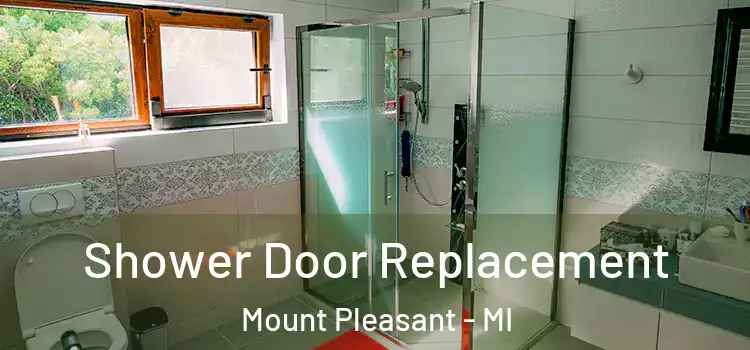  Shower Door Replacement Mount Pleasant - MI