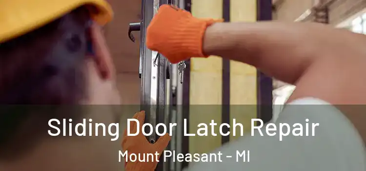  Sliding Door Latch Repair Mount Pleasant - MI