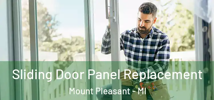  Sliding Door Panel Replacement Mount Pleasant - MI