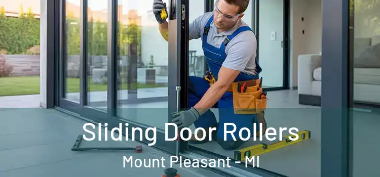  Sliding Door Rollers Mount Pleasant - MI