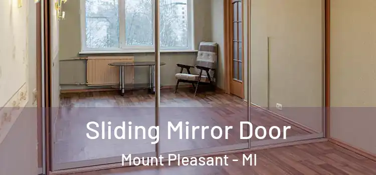  Sliding Mirror Door Mount Pleasant - MI