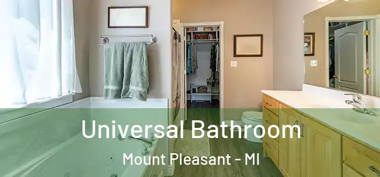  Universal Bathroom Mount Pleasant - MI
